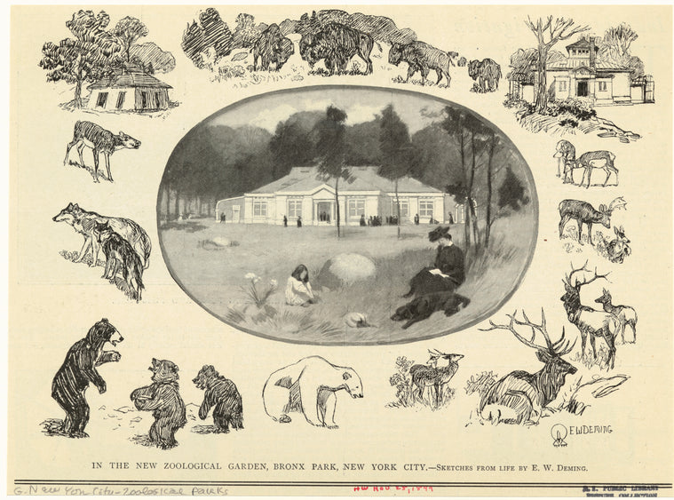 In the new zoological garden, Bronx Park, New York City