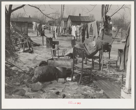 A backyard in Maunie, Illinois, after the flood
