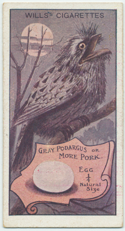 Gray Podargus, or More Pork.