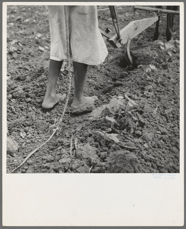 Alabama plow girl. Near Eutaw, Alabama