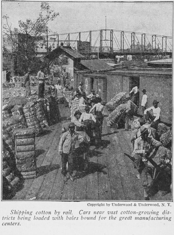 Shipping cotton by rail; Cars near vast cotton - growing districts being loaded with bales bound for the great manufacturing centers.