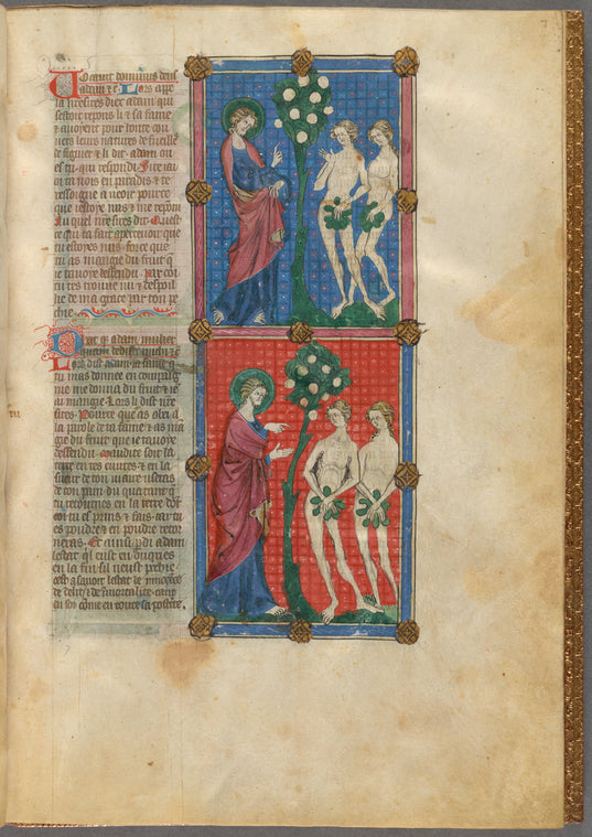 Two miniatures:  God calling Adam and Eve (who now appear with fig leaves), and Adam blaming Eve for giving him the Apple.  With text, initials, linefiller, placemarkers