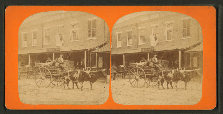 Florida Cracker, Jacksonville, Fla.