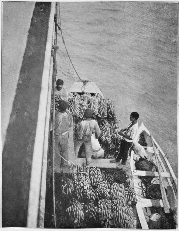 At the bidding of the United Fruit Company.