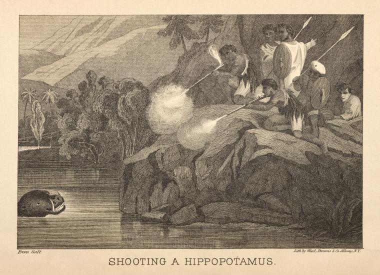 Shooting a hippopotamus.