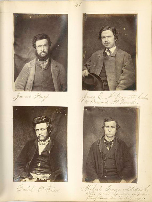 James Fury ; James E. McDermott, brother to Bernard McDermott ; DAniel O'Brien ; Michael Tracy, enlisted in the Rifles for the purpose of propagating Fenianism in that corps.