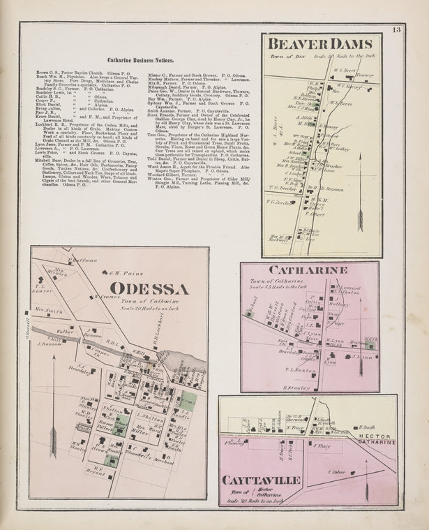 Catharine Business Notices; Odessa [Village]; Beaver Dams [Village]; Catharine [Village]; Cayutaville [Village]