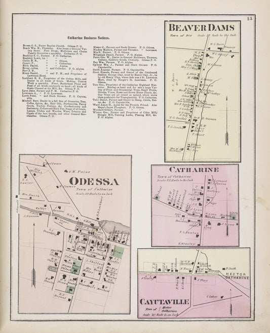 Catharine Business Notices; Odessa [Village]; Beaver Dams [Village]; Catharine [Village]; Cayutaville [Village]